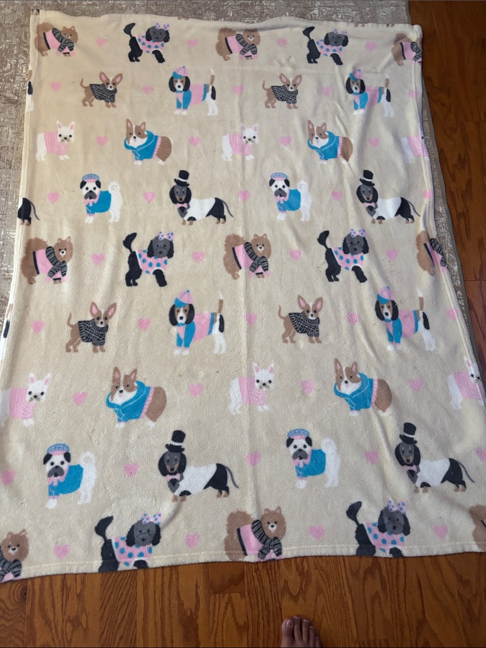 Plush Dog Print Pet Blanket - Cream with Pink & Blue Accents